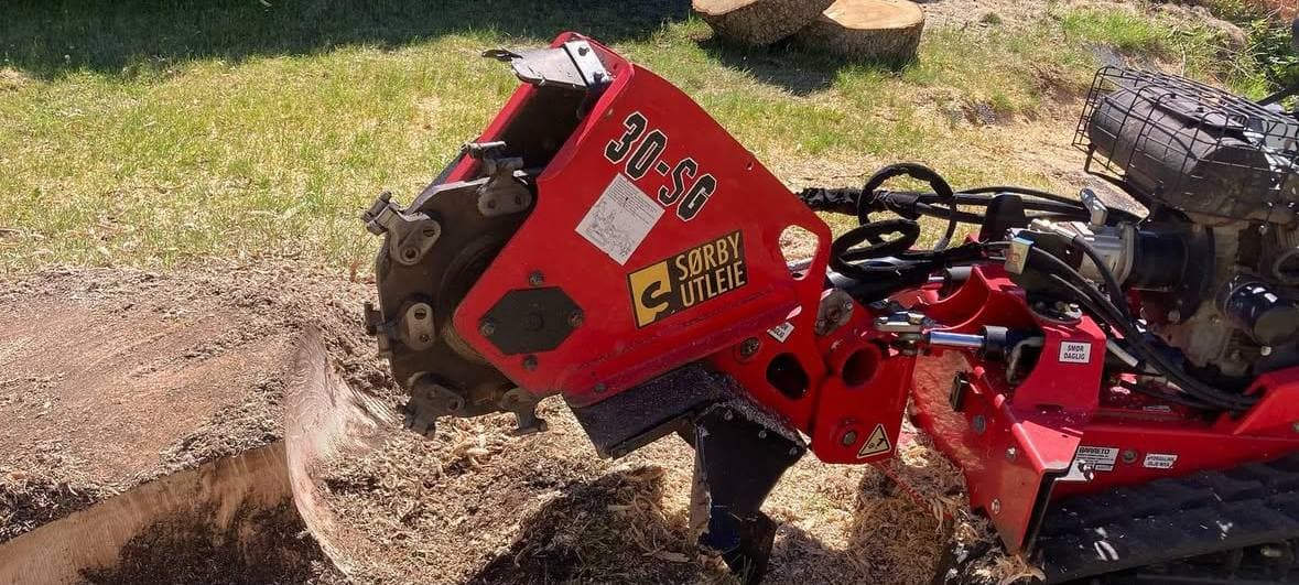 Tree service professionals at work